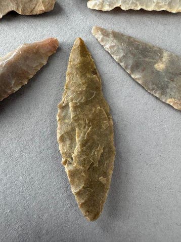 Sahara Silex Pijlpunt (Zonder minimumprijs)