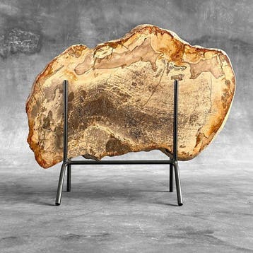 Wonderlijke grote plak versteend hout op een op maat