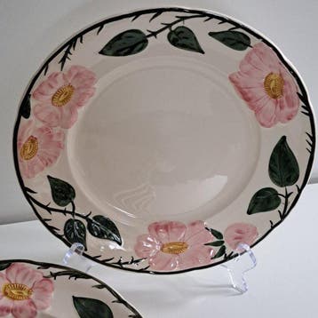 Villeroy & Boch - Bord (6) - Wild-Rose - Vitro-Porzellan -