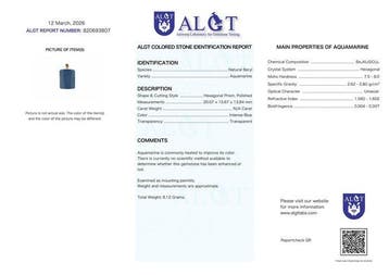 Geen minimumprijs - ALGT-gecertificeerd - Grote en uiterst, Antiek en Kunst