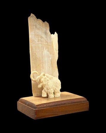 Wolharige mammoet Slagtand - Mamoet Beeld. Gemaakt van, Antiek en Kunst