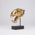 sculptuur, NO RESERVE PRICE - Polished bronze Snow Leopard -