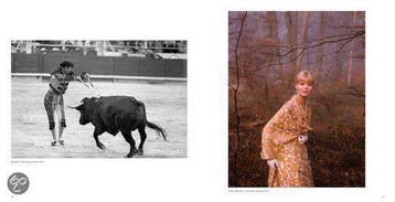 Fotografie van de jaren 60 9789089982162 Frank Horvat, Verzenden, Zo goed als nieuw, Frank Horvat
