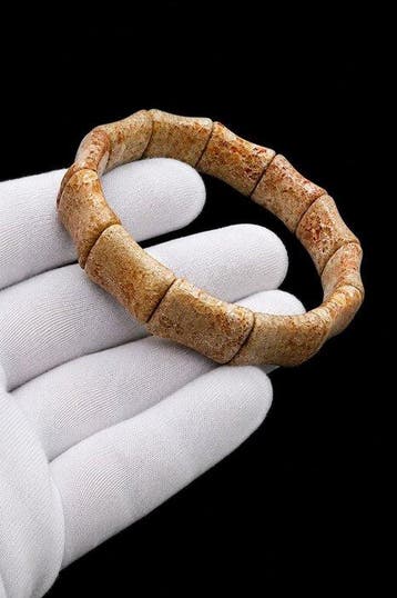Zeer mooie gefossiliseerd marien koraal armband van