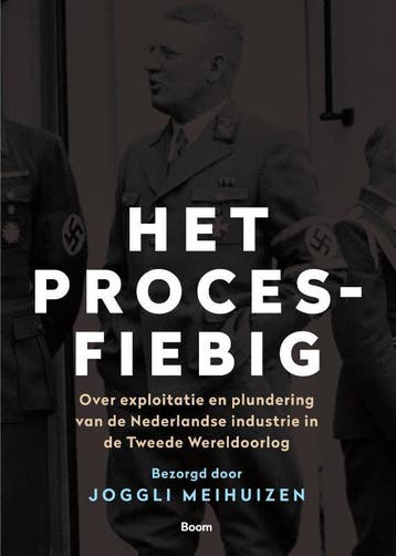 Het Proces-Fiebig | Joggli Meihuizen | Nieuw, Verzenden, Nieuw, Joggli Meihuizen