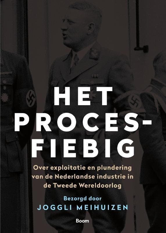 Het Proces-Fiebig | Joggli Meihuizen | Nieuw, Boeken, Overige Boeken, Nieuw, Verzenden