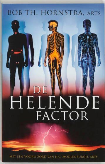 De helende factor 9789020243796 B.Th. Hornstra, Verzenden, Gelezen, B.Th. Hornstra
