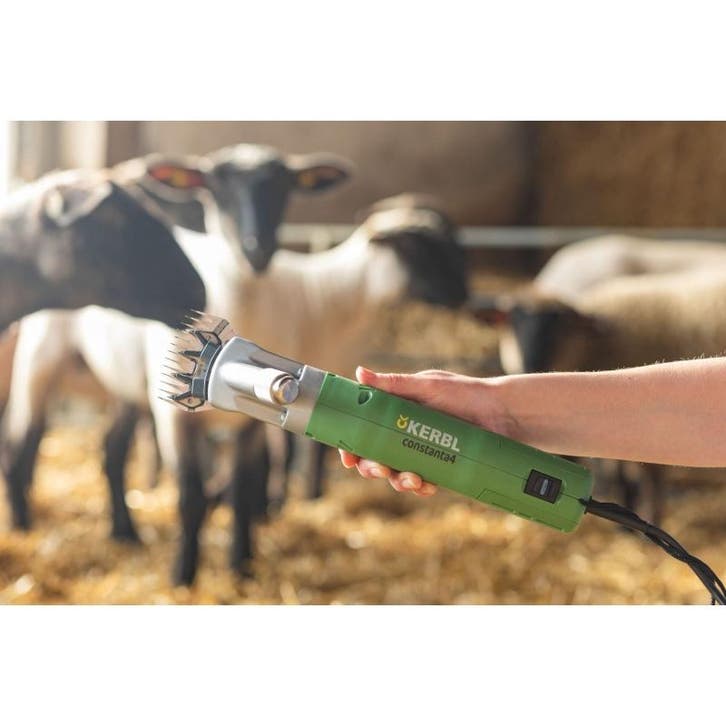 Constanta 4, tondeuse ovin avec peignes 13/4 dt.,400w -, Animaux & Accessoires, Box & Pâturages