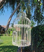 Vogelkooi - IJzer