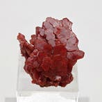 ESTHETISCHE BLOEM VAN VANADINITE BLOEDROOD, UNIEK, ZELDZAME