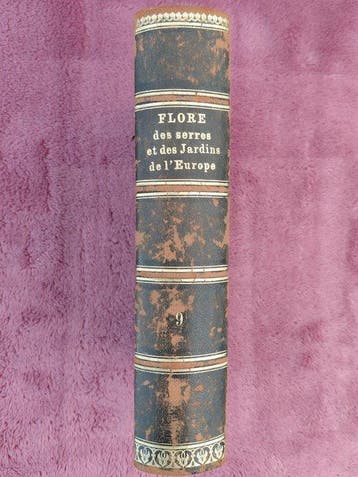 Louis van Houtte - Flore des Serres et des Jardins de