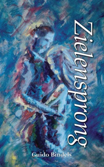 Zielensprong 9789089540928 Guido Bindels, Boeken, Verzenden, Gelezen, Guido Bindels
