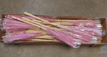 Dried Pampas Fluffy Hot Pink 70 cm, Nieuw