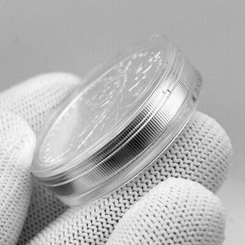 Niue. 5 Dollars 2026 – Czech Lion – 2 oz Silver – 5 Dollars