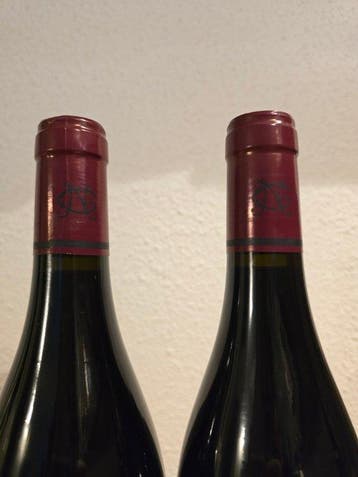 2020 Georges Noellat Les Tuvilains - Beaune 1er Cru - 2, Nieuw