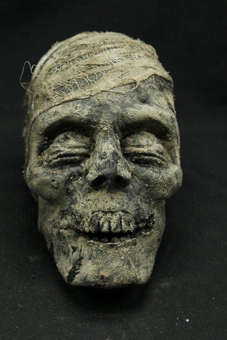 Replica gemummificeerd hoofd - levensecht - Mummie -, Antiquités & Art, Curiosités & Brocante