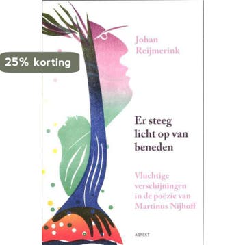 Er steeg licht op van beneden 9789461531070 Johan Reijmerink, Verzenden, Zo goed als nieuw, Johan Reijmerink