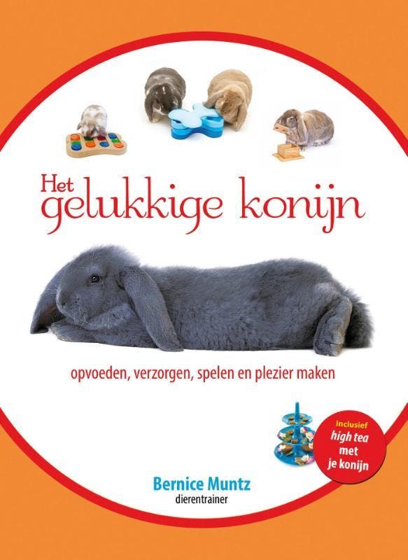 Het gelukkige konijn 9789081771375 Bernice Muntz, Boeken, Hobby en Vrije tijd, Gelezen, Verzenden