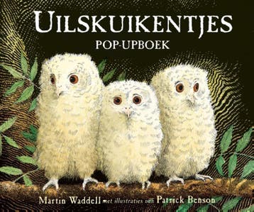 Uilskuikentjes 9789025757939 Martin Waddell, Verzenden, Gelezen, Martin Waddell