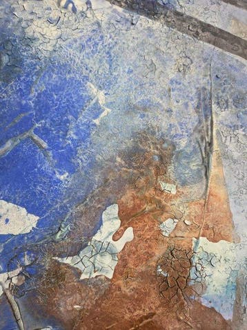 Stefania Cappelletti - Albero della vita