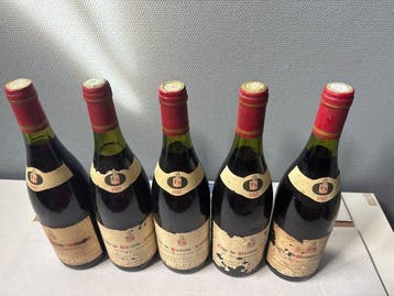 1987 Grivelet Père & Fils - Côte de Beaune-Villages - 5, Verzamelen, Nieuw