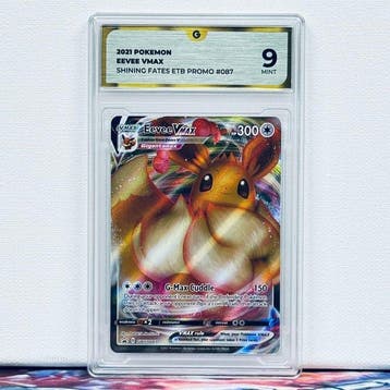 Pokémon Graded card - EEVEE 087 - Pokémon - GG 9, Hobby en Vrije tijd, Nieuw