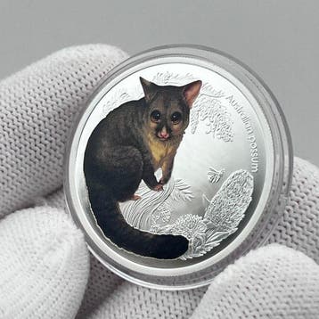 Australië. 50 Cents 2013 – Bush Babies II – Possum – 1/2 oz