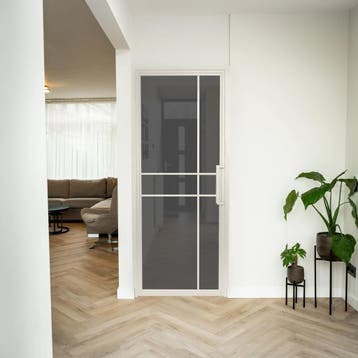 Stalen Binnendeur - Wit - 6 Vlaks - Rook glas - Luxe design, Binnendeur