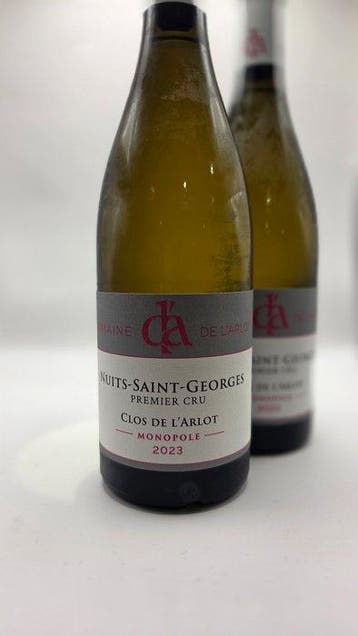 2023 Domaine de lArlot Clos de lArlot blanc - Nuits St., Verzamelen, Nieuw