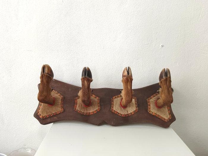 Porte-manteau - Porte-manteau en pattes de cerf, chasse -, Collections, Collections Animaux