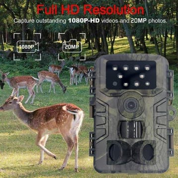 Wildlife camera buiten wildcamera 2.7K 32MP FULLHD waterdich, Audio, Tv en Foto, Verzenden, Nieuw