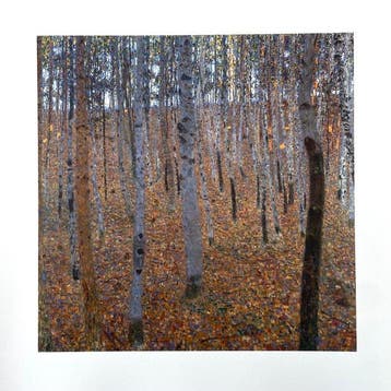 Gustav Klimt (after) - Beech Forest I - Fine art giclée -