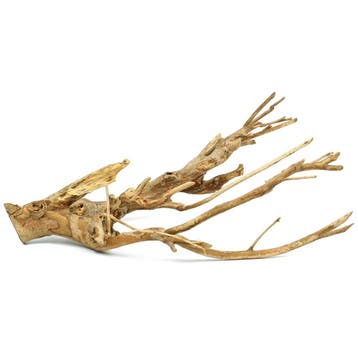 Talawa wood, Verzenden, Nieuw