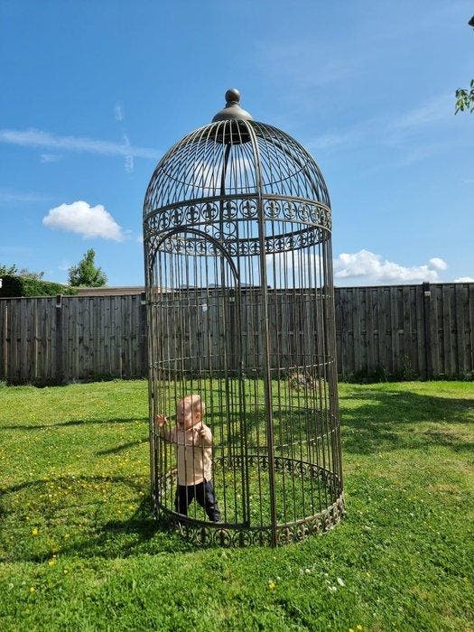 Vogelkooi - Metaal - XXL - Franse Lelies 265cm, Antiquités & Art, Curiosités & Brocante