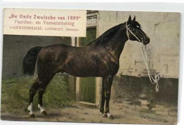 Dieren, Paarden - Otto Eerelman - Ansichtkaart (20) -