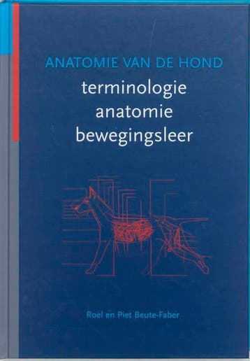 Anatomie van de hond 9789077462027 R. Beute-Faber, Boeken, Verzenden, Zo goed als nieuw, R. Beute-Faber