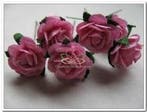 Mulberry Roosjes Rose 10-15 mm pak, Nieuw