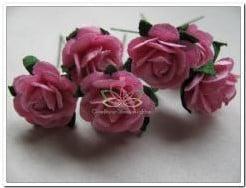 Mulberry Roosjes Rose 10-15 mm pak, Nieuw