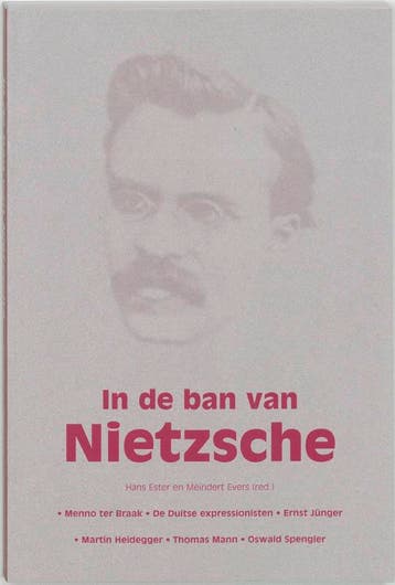 In de ban van Nietzsche 9789055733705, Boeken, Verzenden, Gelezen
