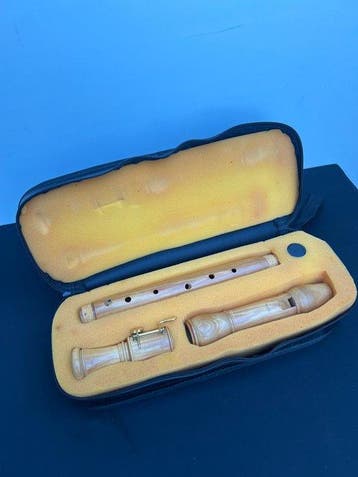 Ariel - Tenorblokfluit - - Flûte à bec - Pays-Bas (Sans prix, Musique & Instruments, Instruments à vent | Flûtes à bec