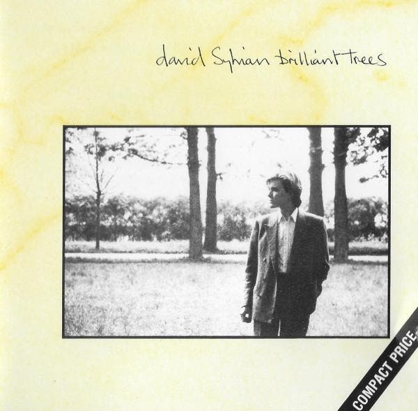 David Sylvian - Brilliant Trees, Cd's en Dvd's, Cd's | Dance en House, Gebruikt, Verzenden