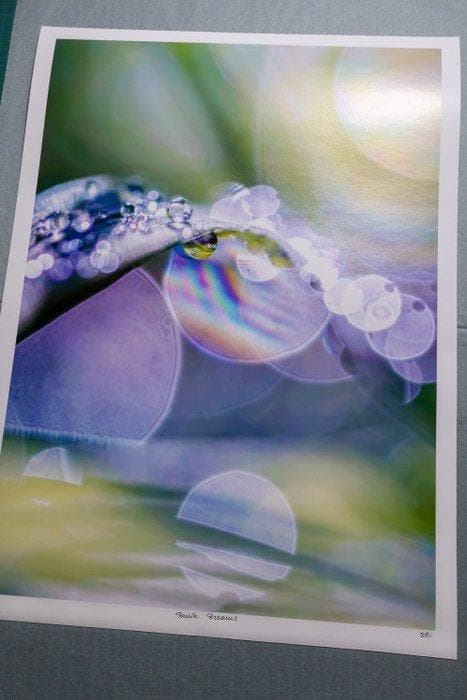 Inna Etuvgi - Dawn Dreams - Catawiki Edition - 1/25, Antiek en Kunst, Kunst | Designobjecten