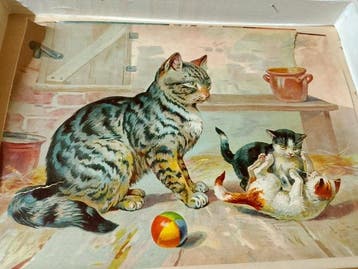 Jeu de société - Papier