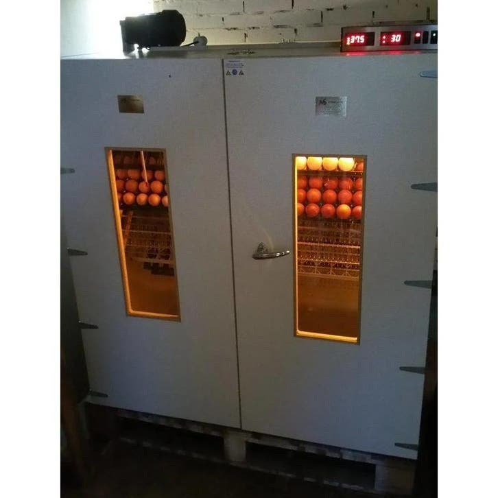 MS2000 Slaglatten Broedmachine – 2100 eieren – Nieuw, Animaux & Accessoires, Volatiles | Accessoires, Envoi