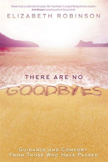 There Are No Goodbyes 9781781809884 Elizabeth Robinson, Verzenden, Elizabeth Robinson