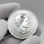 Canada. 20 Dollars 2020 – Polar Lights – Wood Buffalo Park