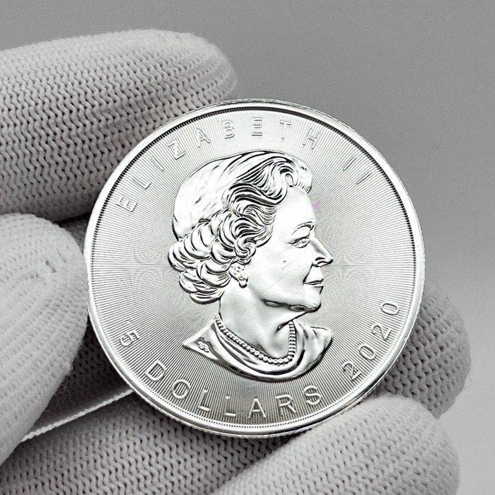 Canada. 20 Dollars 2020 – Polar Lights – Wood Buffalo Park, Timbres & Monnaies, Monnaies | Europe | Monnaies non-euro