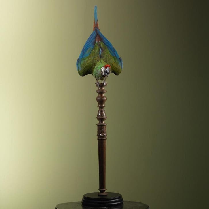 Soldatenara Taxidermie Opgezette Dieren By Max, Collections, Collections Animaux, Enlèvement ou Envoi