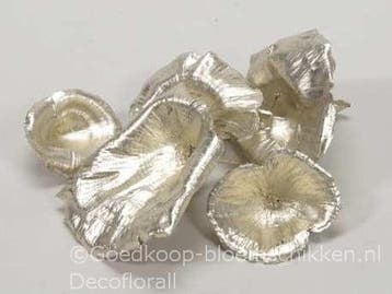 Golden mushroom platinum paddenstoel +/- 15 stuks