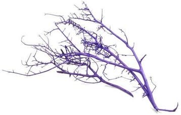 Milka bush White 10 stuks, Nieuw